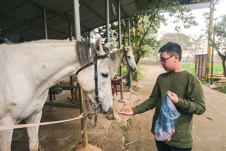 Experience Horse Riding in Hanoi