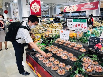 Vietnamese, Japanese Firms Promote Cooperation