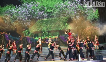 Vietnam News Today (Mar. 14): Hoa Ban (Bauhinia Flower) Festival Opens in Dien Bien