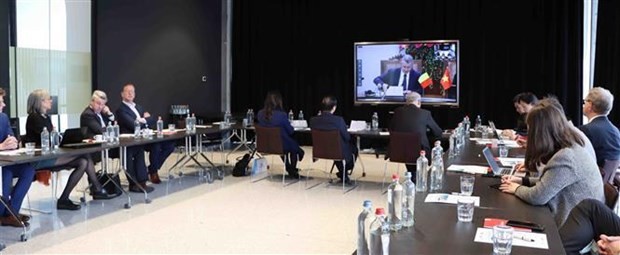 Participants at the hybrid conference in Brussels. Photo: VNA
