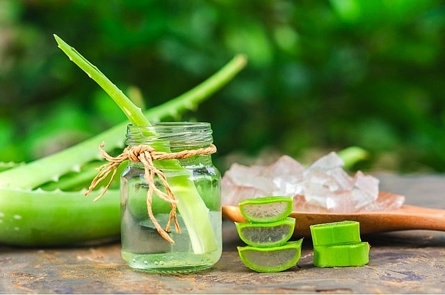 Aloe vera juice is suitable for pregnant women.