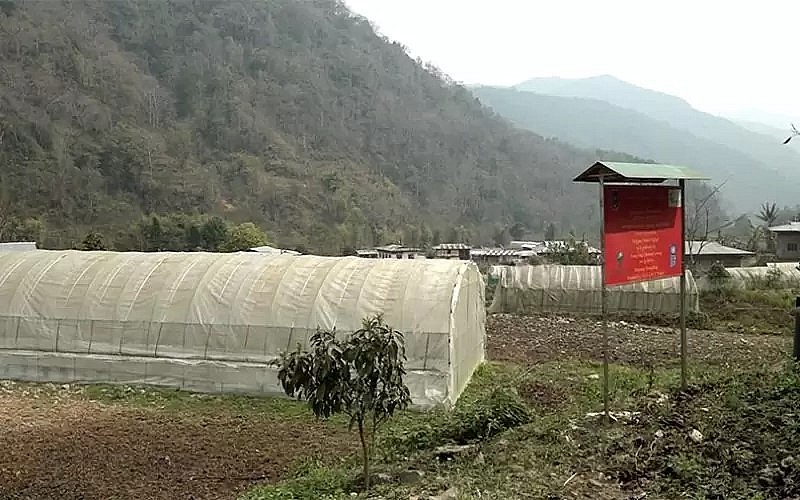 Gungring, a Model Organic Village thriving