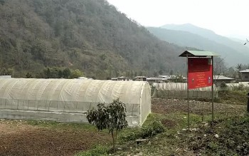 Gungring, a Model Organic Village thriving
