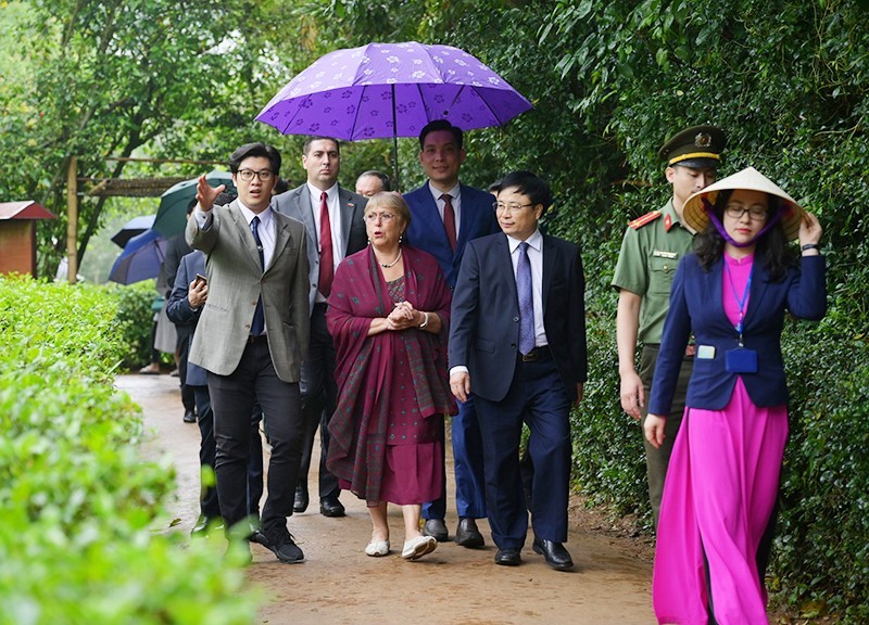 Former Chilean President Pays Tribute to President Ho Chi Minh