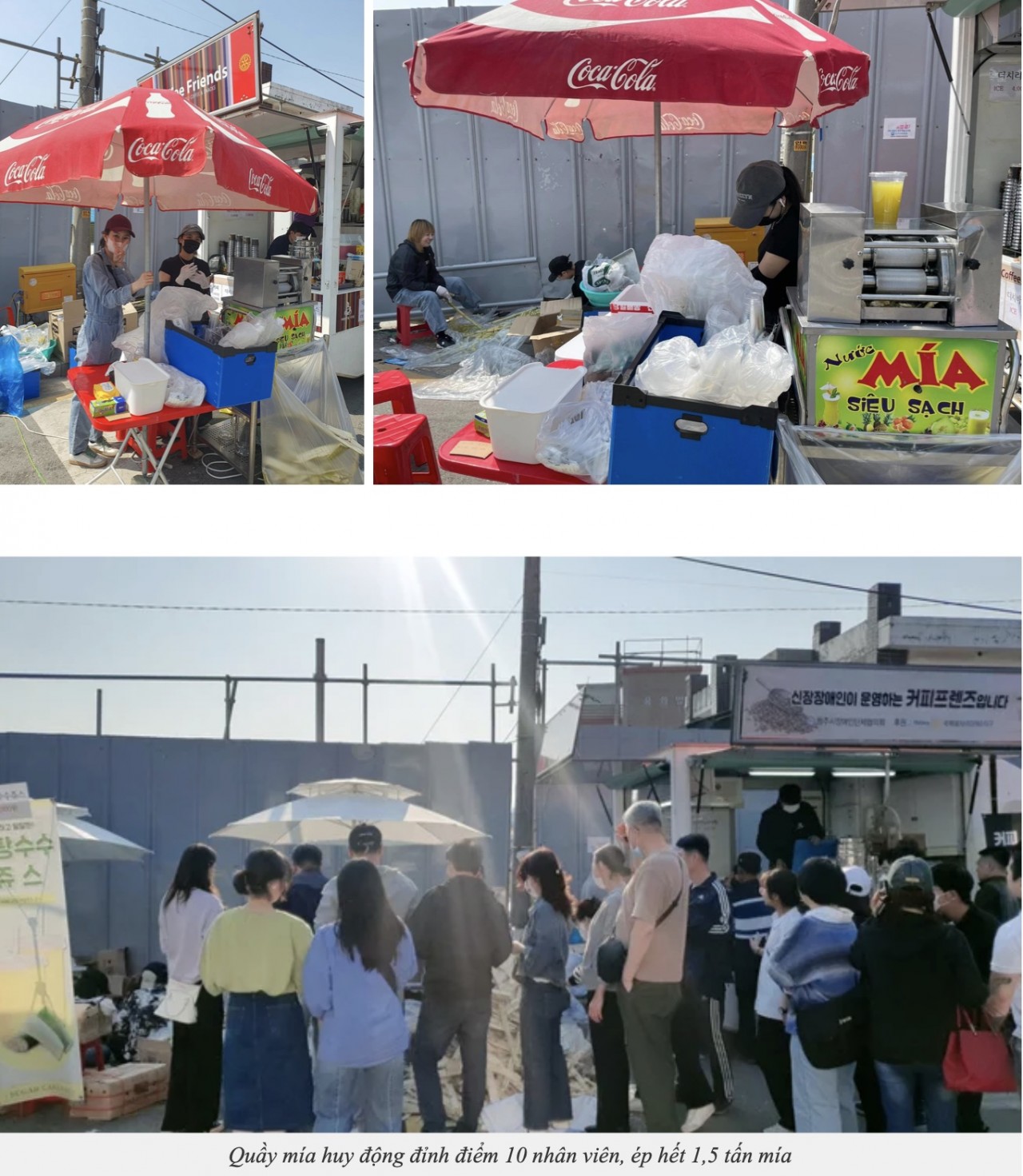 South Koreans Introduced to Vietnam's Sugarcane Juice