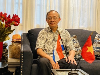 People-to-People Diplomacy Lays Foundation for Vietnam-Netherlands Relations