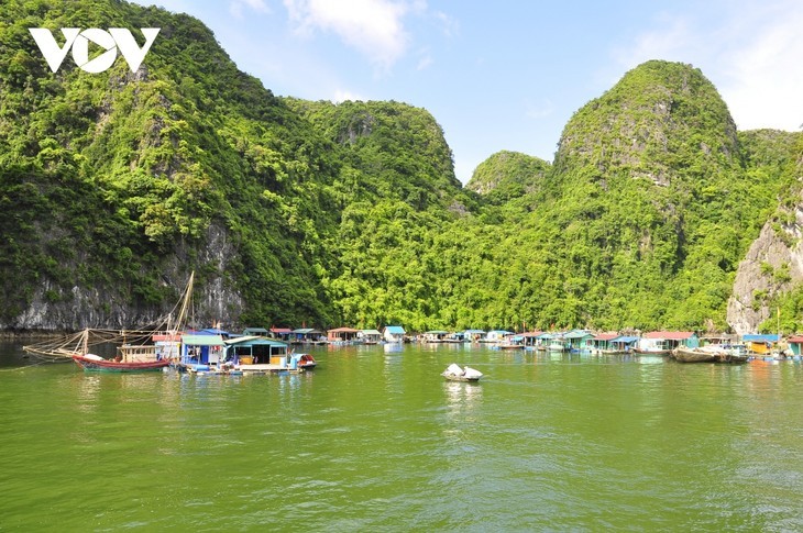 Cua Van fishing village in Ha Long Bay, Quang Ninh province. Photo: Truong Giang/VOV