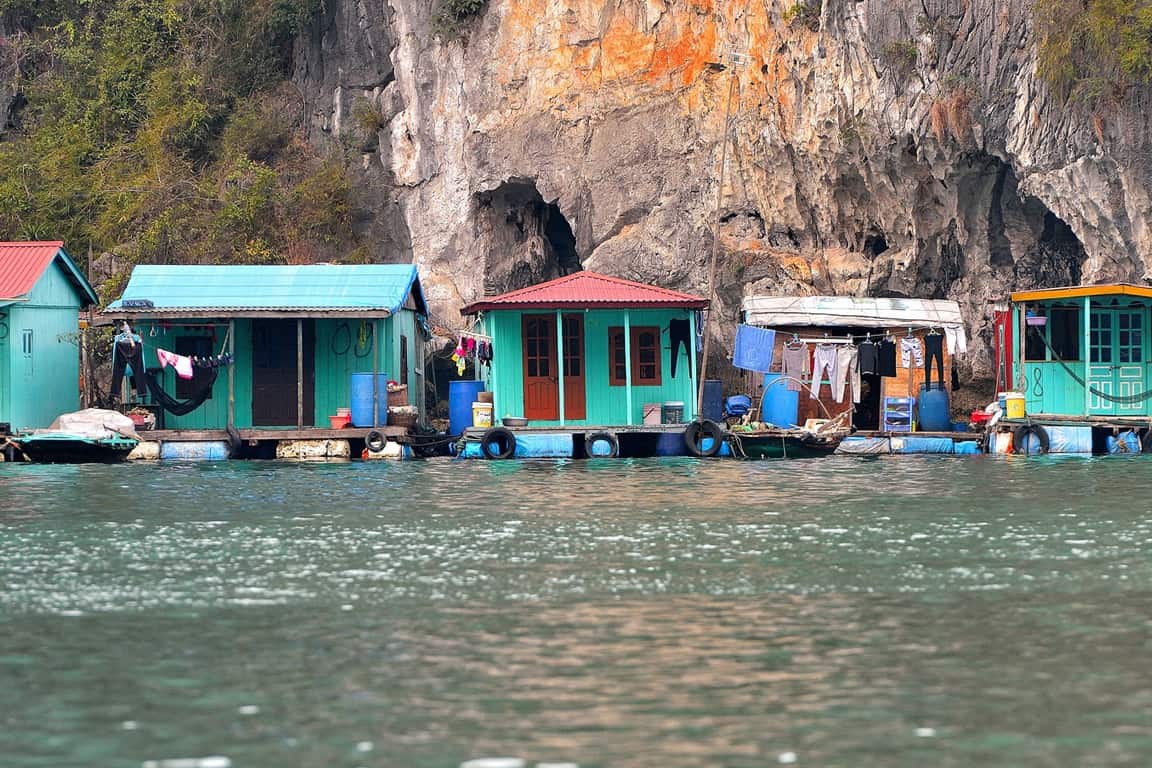 Photo: paradisecruise.com