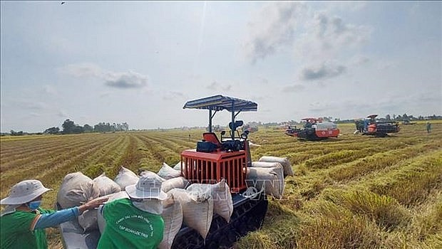 Philippines Remains Vietnam’s Biggest Rice Importer in Q1