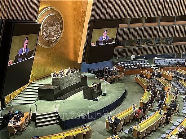 Ambassador Dang Hoang Giang, Permanent Representative of Vietnam to the UN addresses the event (Photo: VNA)