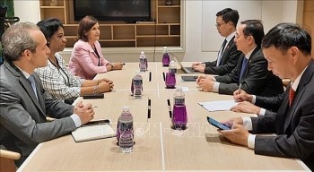 Vietnam, Cuba to Beef up Cooperation in Different Fields