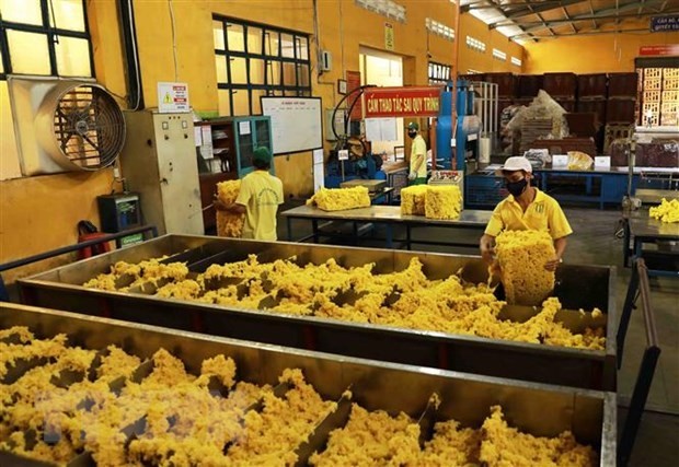 Rubber industry needs better grip on competitiveness in int’l market. Photo: VNA