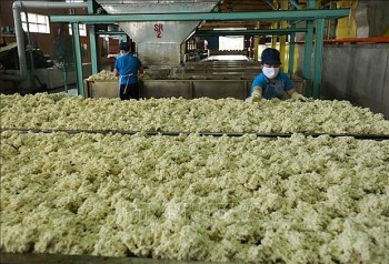 German Rubber Firms Want to Expand Cooperation in Vietnam