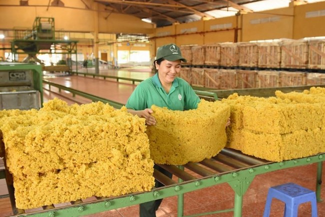 Netherlands increases rubber imports from Vietnamese market