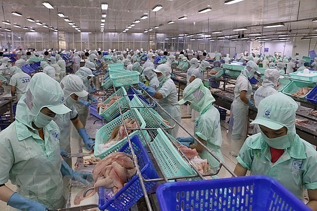 Vietnam, UK Boast Great Potential for Education, Science Cooperation: Professor