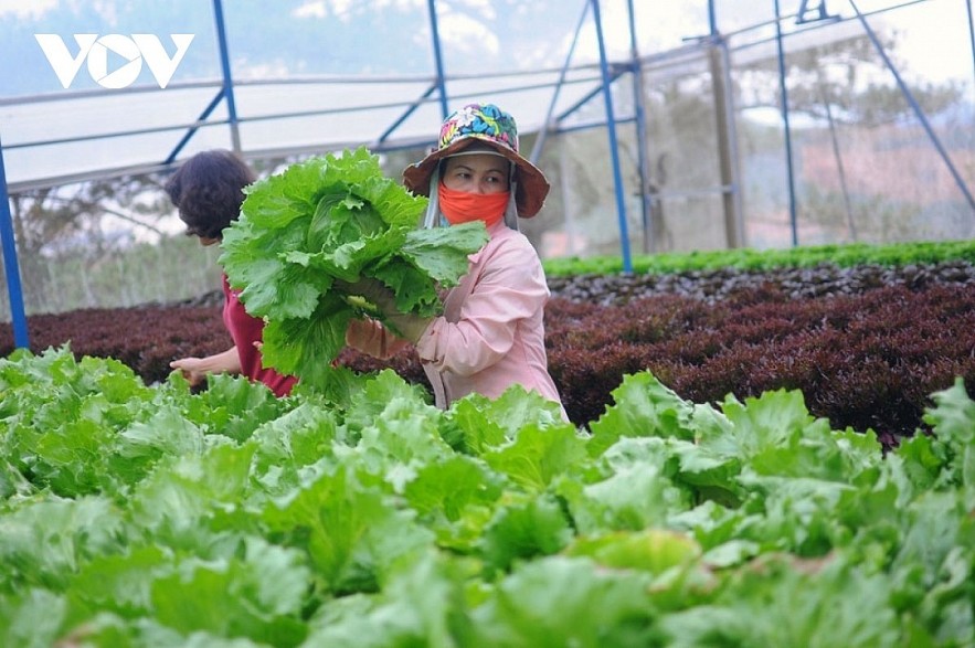 Countries Hail Vietnamese Government’s Leadership in SDGs Implementation