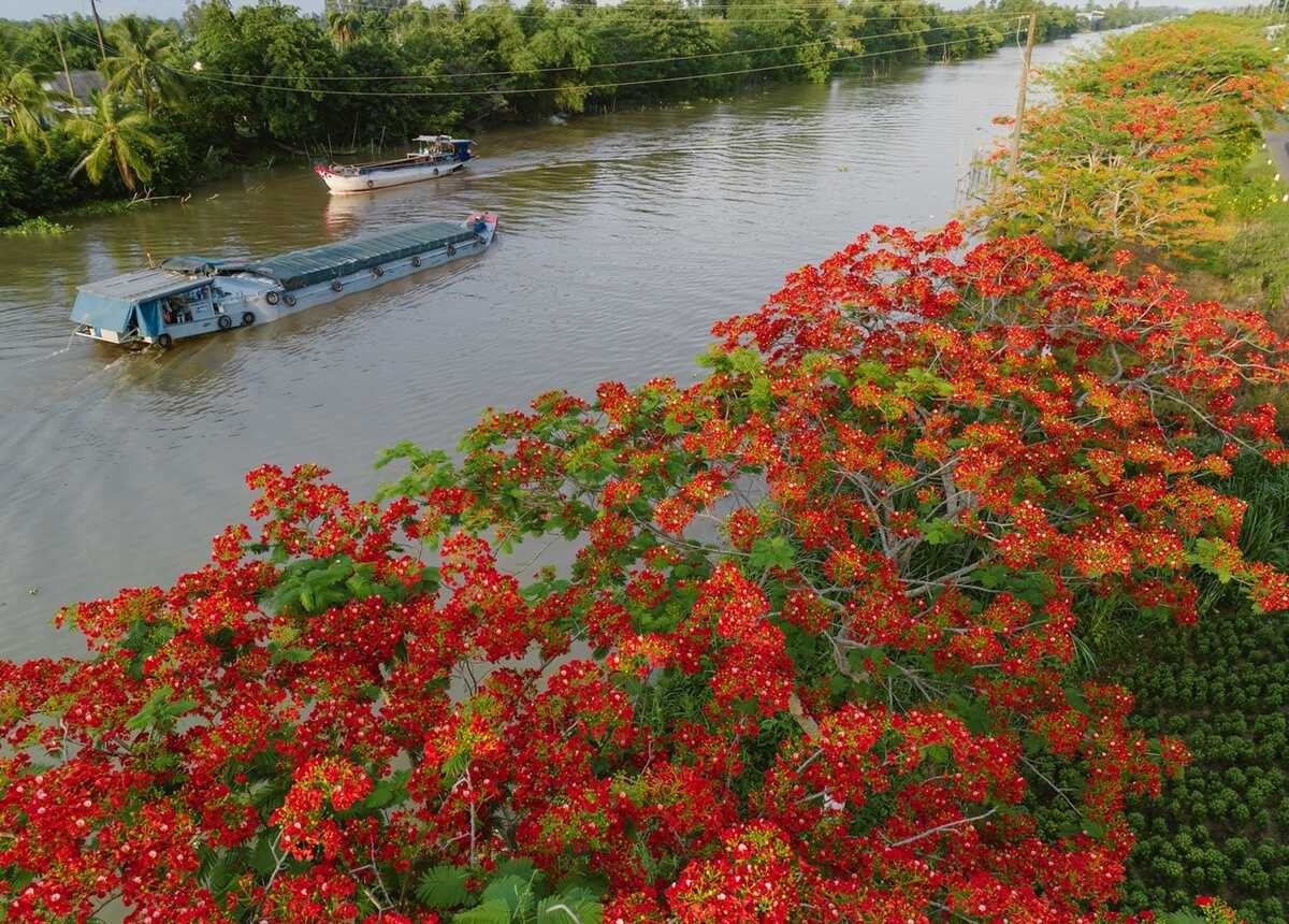Photo: Van Thai 