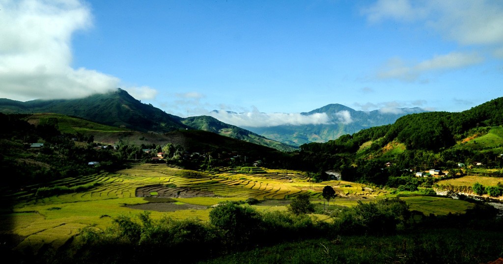 Morning sun on Long Tum field. Photo: Huy Dang