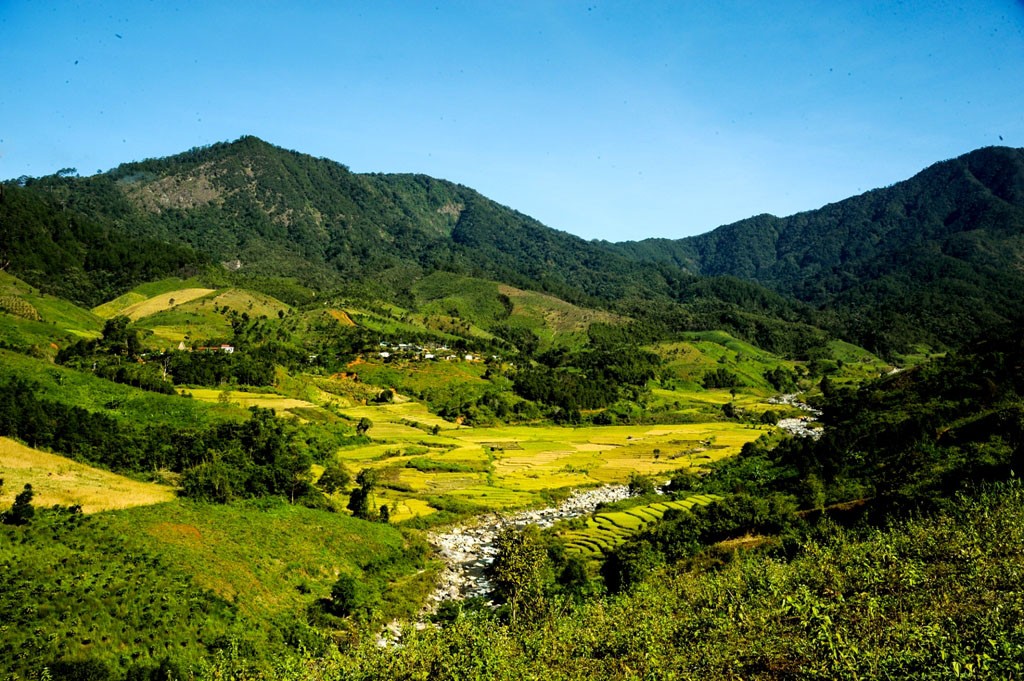 Photo: Huy Dang 