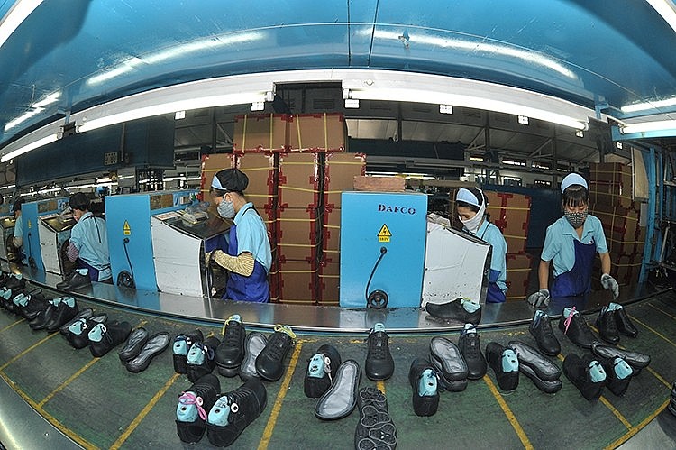 Vietnam and India Businesses Seek to Boost Trade Cooperation