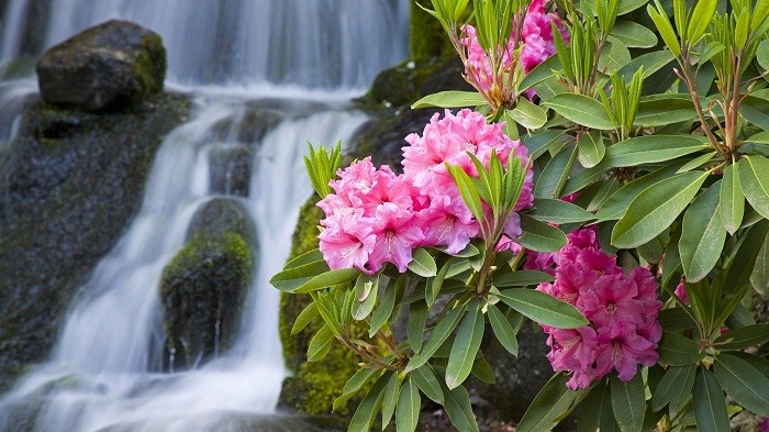 Photo: Vinpearl 