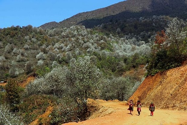 Nam Nghiep hamlet in Son La (Photo: VNA)