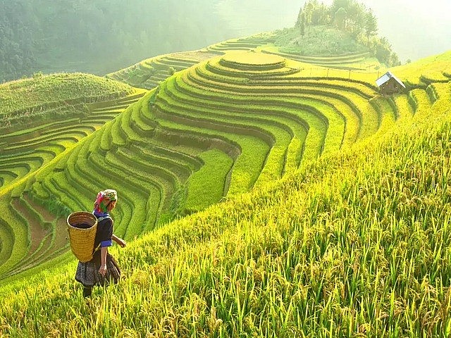 Sapa - An Iconic Destination for Travellers: The Times of India
