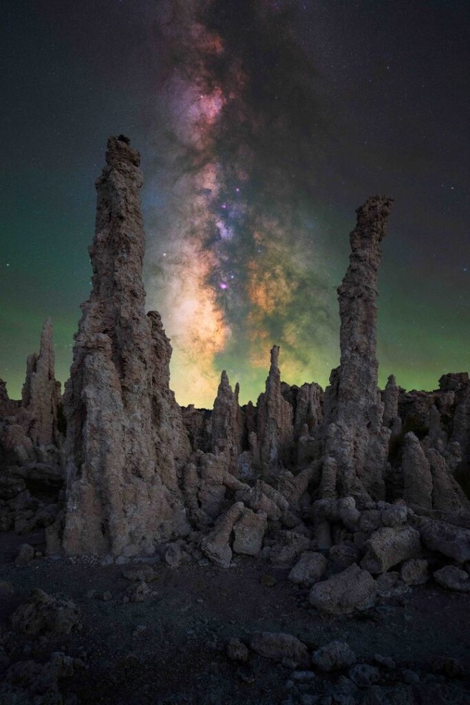 “Alien Forest”. Photo: Marcin Zając