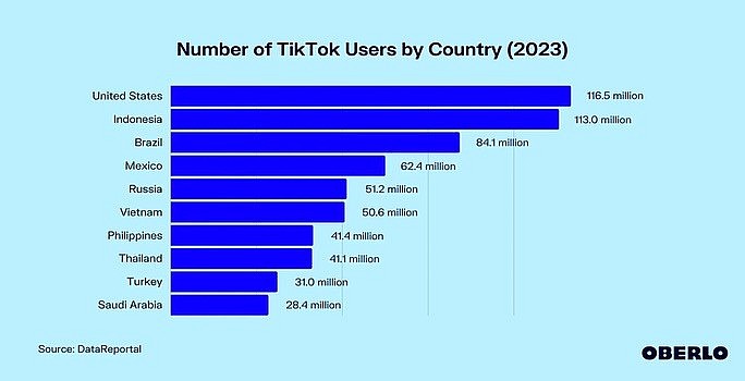 Vietnam Among Top 10 Most Populated Cyber-citizens Countries in the World