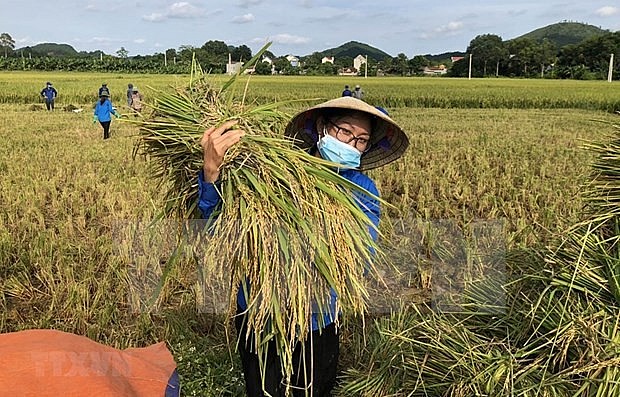 Australia, WB Support Vietnam’s Sustainable, Inclusive Development