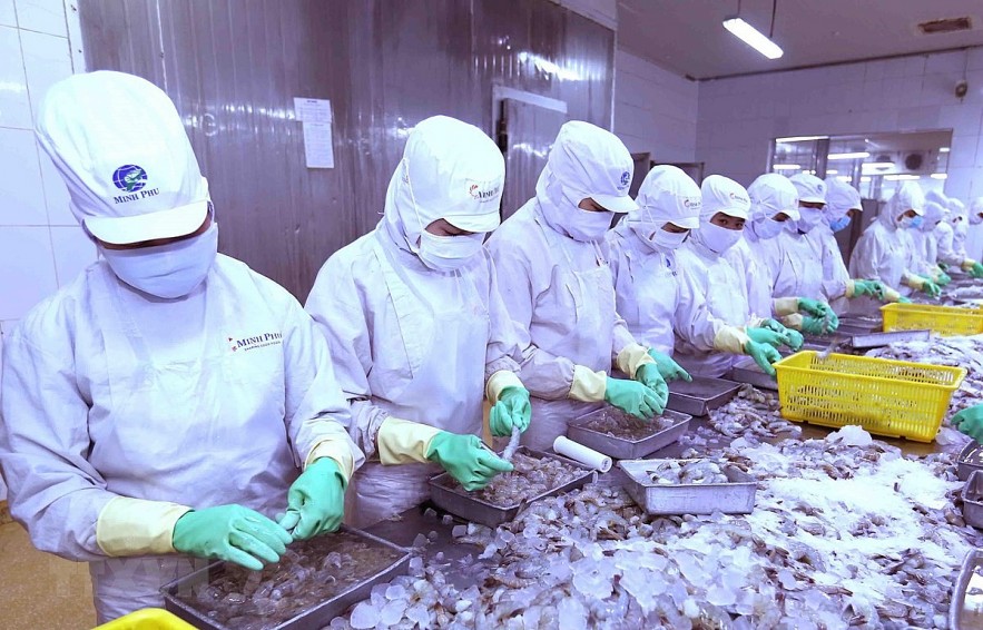 Can Tho City Luring Japanese Investments