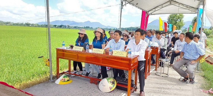 Another Vietnamese Expats-Funded Bridge Started Construction