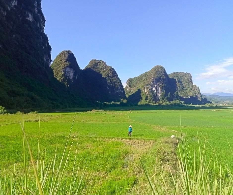 Driving Across Vietnam in a Single Day