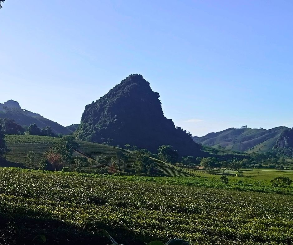 Driving Across Vietnam in a Single Day