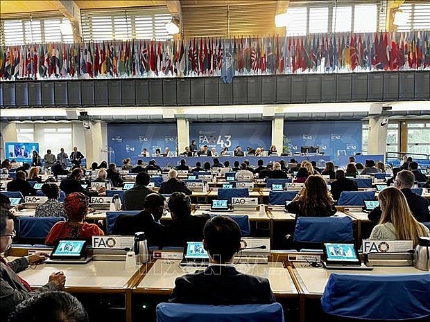 At the meeting (Photo: VNA)