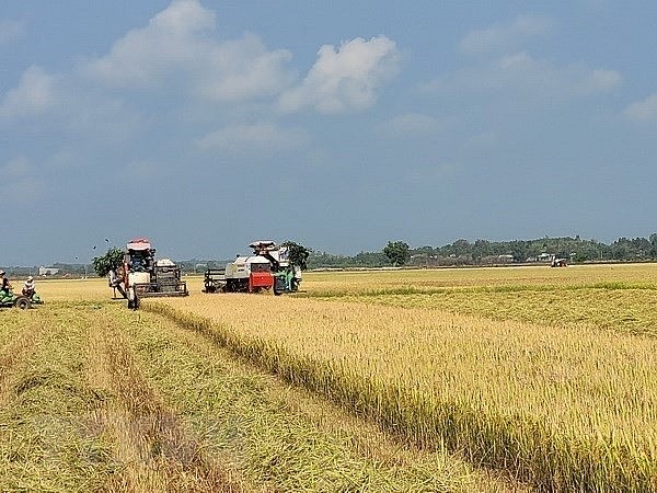 Vietnam - Biggest Rice Provider of Philippines