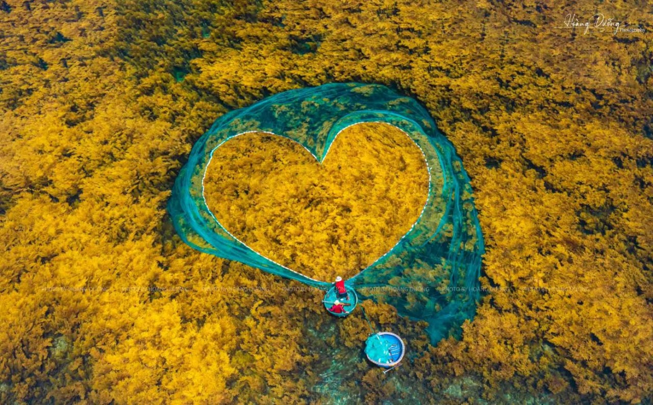 Photo: Hoang Duong 