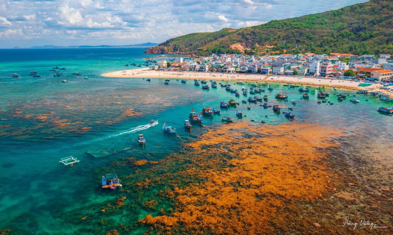 Admire Hon Kho’s Moss Season Through Stunning Photos