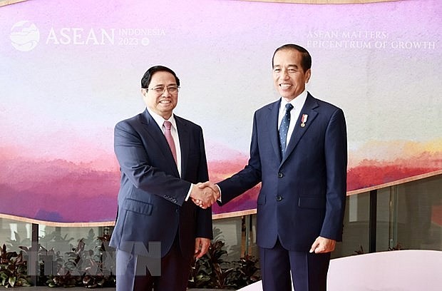 Indonesian Journalist Hails Vietnam's Bamboo Diplomacy