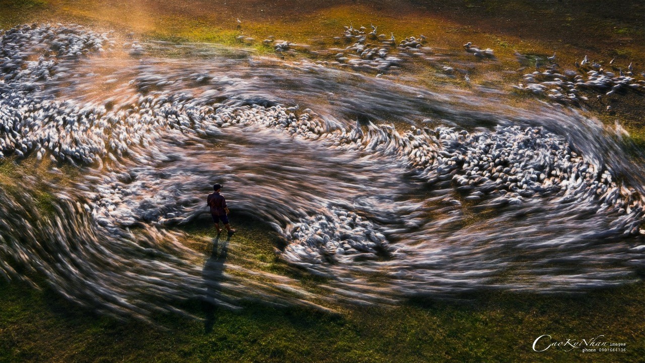 Vietnam's Drone Shots Honoured at Drone Photo Awards