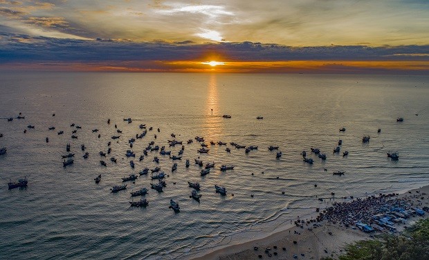 A large number of fishing boats are heading to the shore. Photo: Baodanang