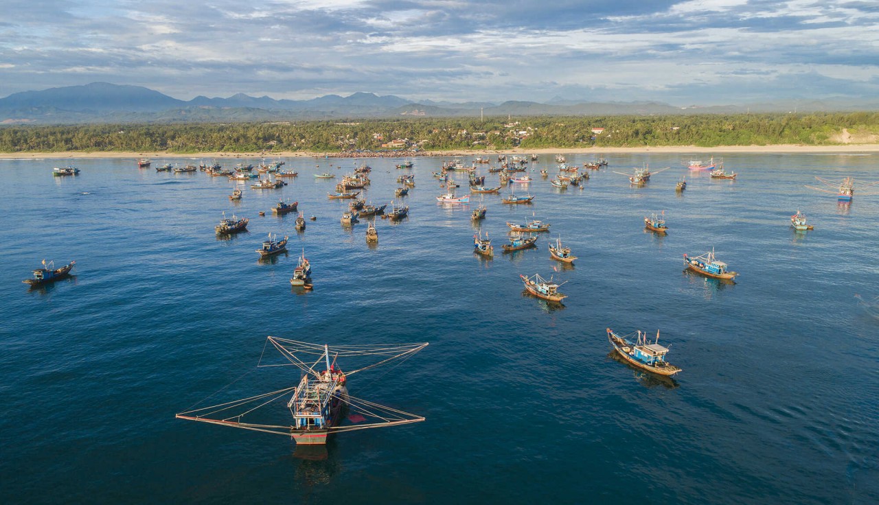 A new day begins in Tam Tien fishing market. Photo: Baodanang