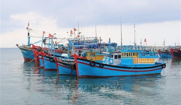 Vietnam Set Goal To Remove "Yellow Card" Warning by October 2023