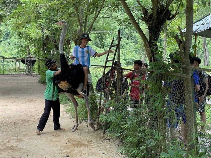 A tourist ride on an ostrich. Photo: Ky Nam 