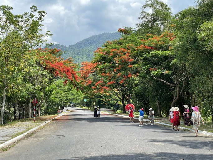Photo: NLD 
