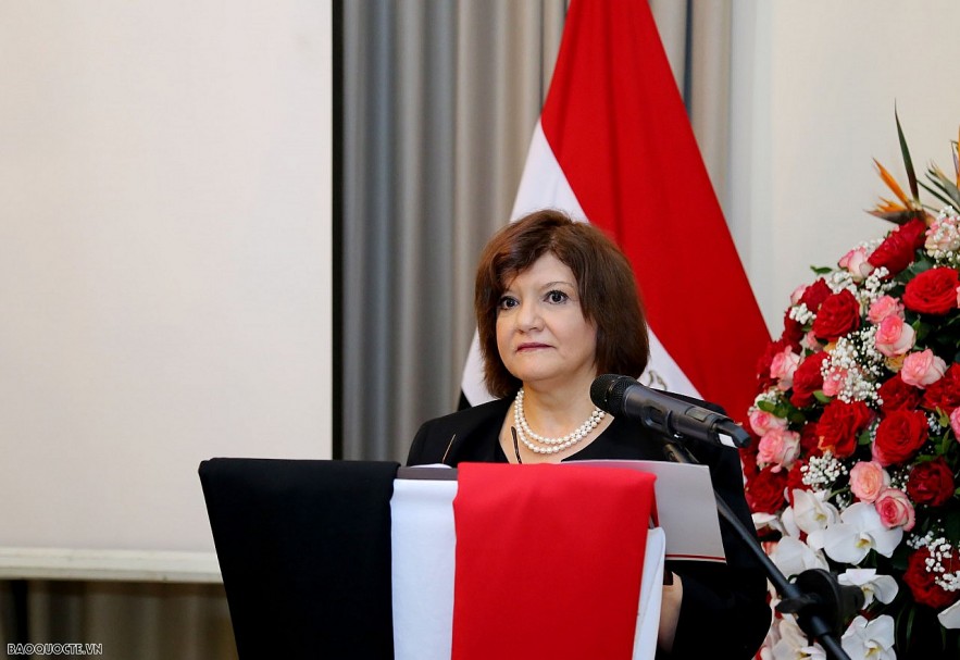 Egypt Remains as Vietnam's Leading Trading Partner in North Africa