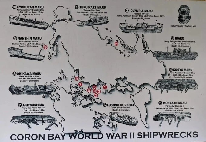 Vietnamese Man Scuba Dives To Find Shipwrecks in Philippines