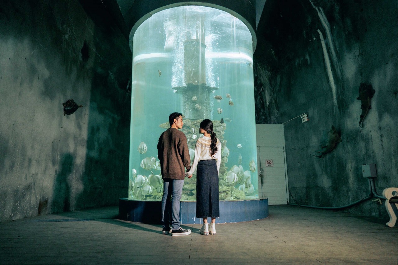 Visit The 100-Year-Old Oceanography Museum In Nha Trang