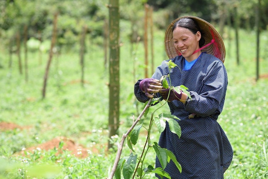VUFO's Achievements in People-to-people Diplomacy