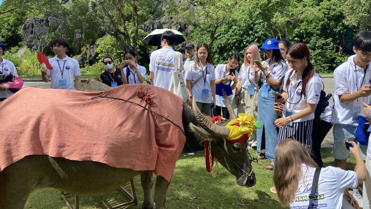 Overseas Vietnamese Youths Enjoy Special National Landscape Site of Trang An